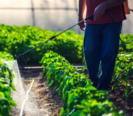 agric-business loan
